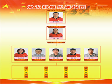 “党建树旗号，党员亮身份”